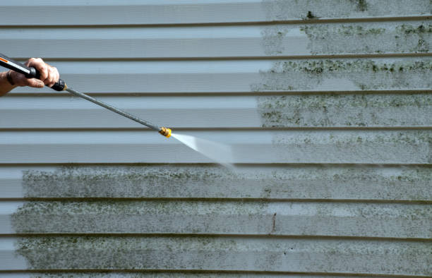 Best Driveway Cleaning and Restoration in Lake Barrington, IL